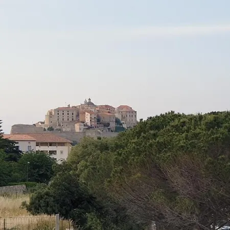 Tres Bel Appartement,proche Et Centre Ville. Daire Calvi (Corsica)