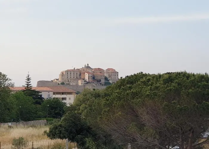 Très Bel Appartement,proche Et Centre Ville. Appartement Calvi (Corsica)